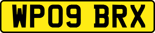 WP09BRX