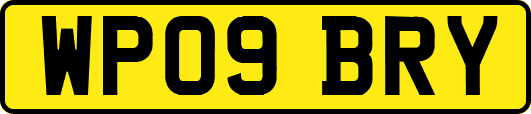 WP09BRY