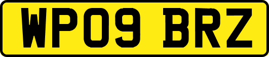 WP09BRZ