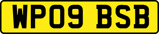 WP09BSB