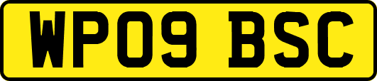 WP09BSC