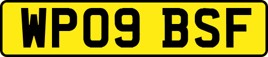 WP09BSF