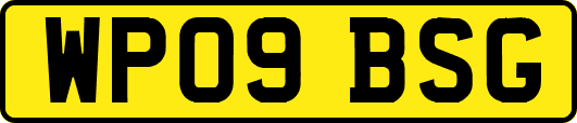 WP09BSG