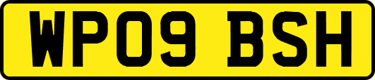 WP09BSH