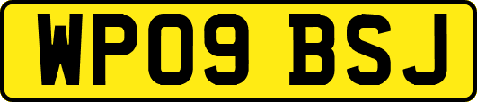 WP09BSJ
