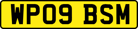 WP09BSM