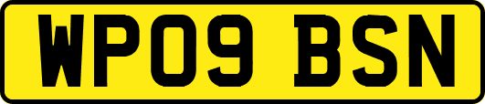 WP09BSN