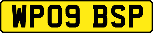 WP09BSP