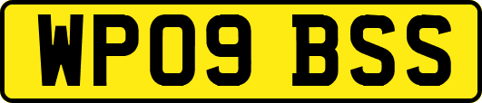 WP09BSS
