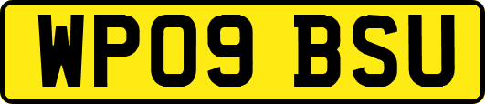WP09BSU