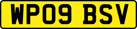 WP09BSV