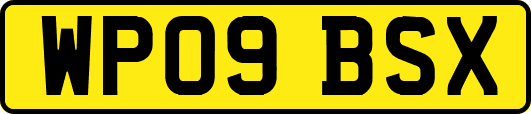 WP09BSX