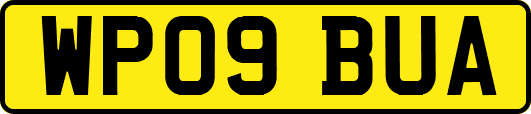 WP09BUA