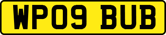 WP09BUB