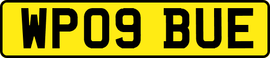 WP09BUE