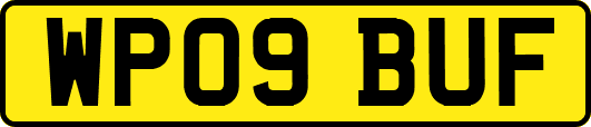 WP09BUF