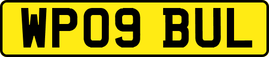 WP09BUL