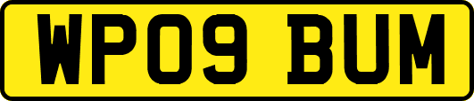 WP09BUM