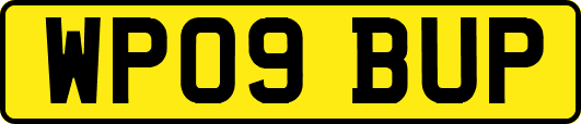 WP09BUP
