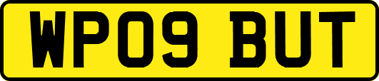 WP09BUT