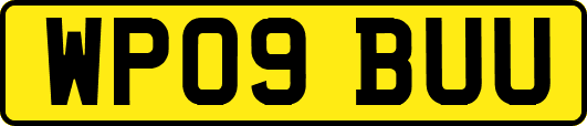 WP09BUU