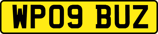 WP09BUZ