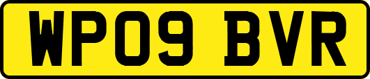 WP09BVR