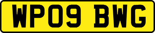 WP09BWG