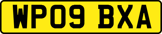WP09BXA