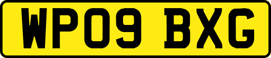 WP09BXG