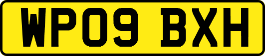 WP09BXH
