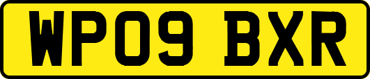 WP09BXR