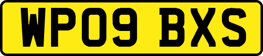 WP09BXS