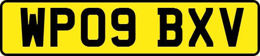WP09BXV