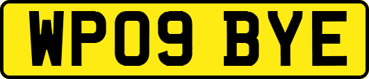 WP09BYE