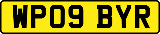 WP09BYR