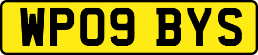 WP09BYS