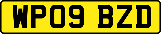 WP09BZD