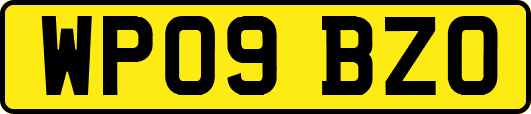 WP09BZO