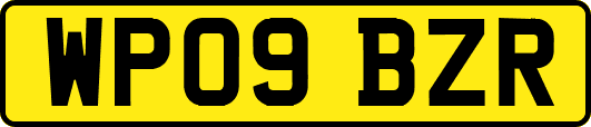 WP09BZR