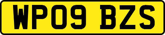 WP09BZS