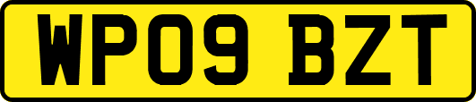 WP09BZT