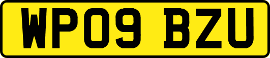 WP09BZU