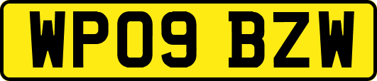 WP09BZW