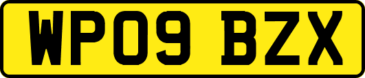 WP09BZX