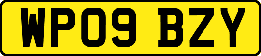 WP09BZY