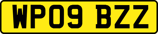 WP09BZZ
