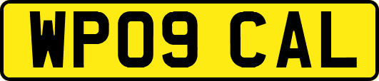 WP09CAL