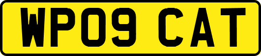 WP09CAT
