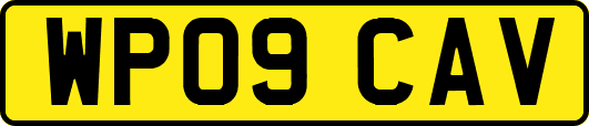 WP09CAV